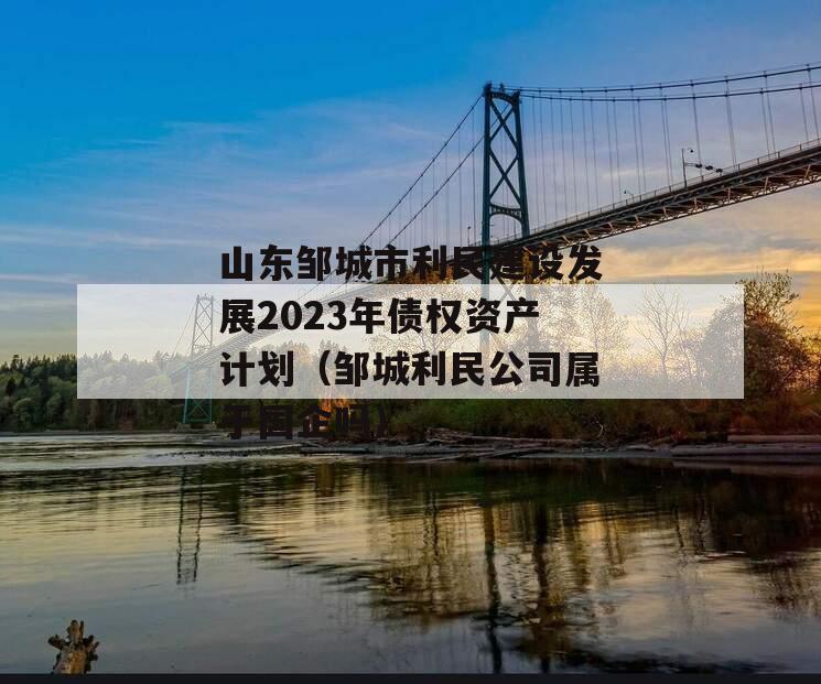 山东邹城市利民建设发展2023年债权资产计划（邹城利民公司属于国企吗）