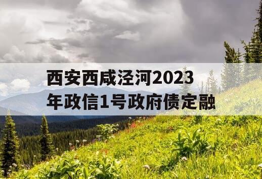 西安西咸泾河2023年政信1号政府债定融