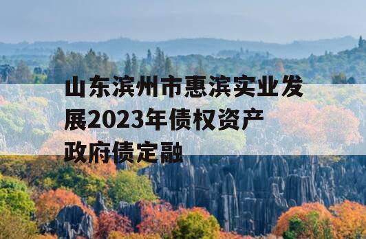 山东滨州市惠滨实业发展2023年债权资产政府债定融