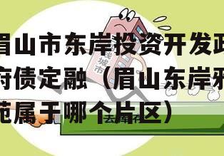 眉山市东岸投资开发政府债定融（眉山东岸雅苑属于哪个片区）