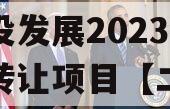 成都都江堰智慧城市运营建设发展2023年债权转让项目【二】政府债定融