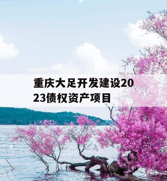 重庆大足开发建设2023债权资产项目