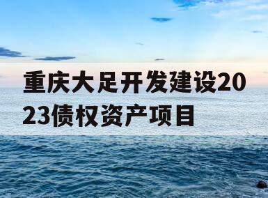 重庆大足开发建设2023债权资产项目