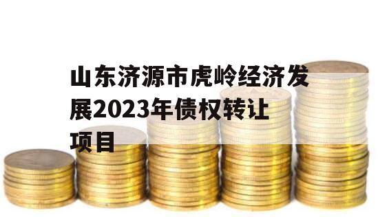 山东济源市虎岭经济发展2023年债权转让项目