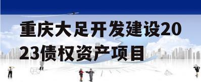 重庆大足开发建设2023债权资产项目