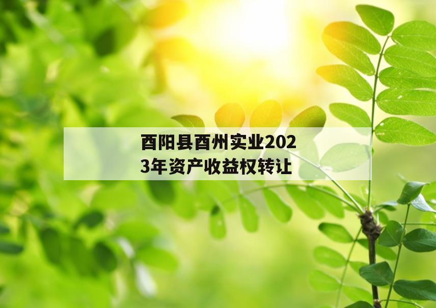 酉阳县酉州实业2023年资产收益权转让