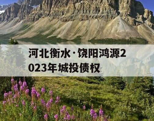 河北衡水·饶阳鸿源2023年城投债权