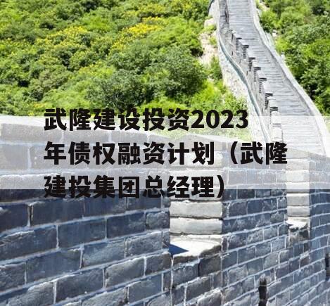 武隆建设投资2023年债权融资计划（武隆建投集团总经理）