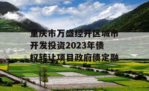 重庆市万盛经开区城市开发投资2023年债权转让项目政府债定融