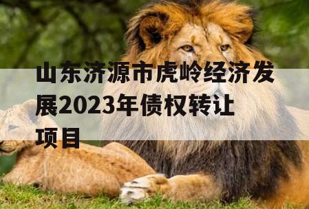 山东济源市虎岭经济发展2023年债权转让项目