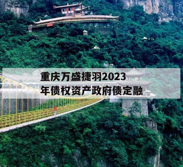 重庆万盛捷羽2023年债权资产政府债定融