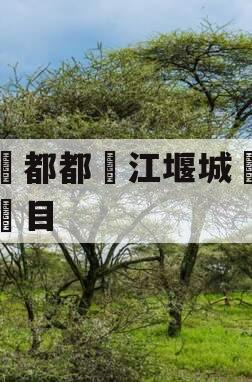 成‮都都‬江堰城‮项运‬目