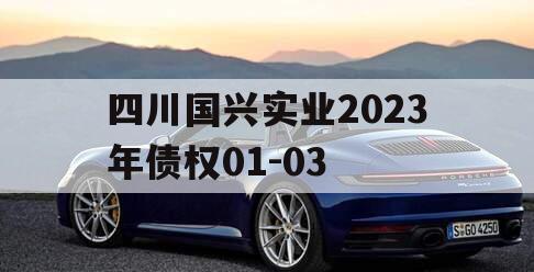 四川国兴实业2023年债权01-03