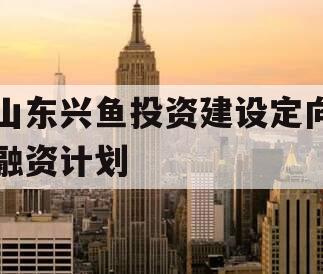 山东兴鱼投资建设定向融资计划