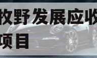 新乡牧野发展应收账款债权项目