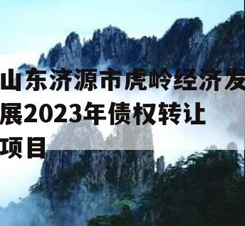 山东济源市虎岭经济发展2023年债权转让项目