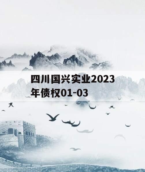 四川国兴实业2023年债权01-03