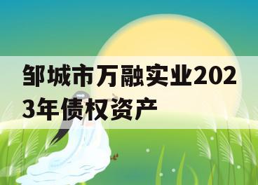 邹城市万融实业2023年债权资产