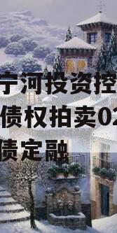 天津宁河投资控股2023年债权拍卖02号政府债定融