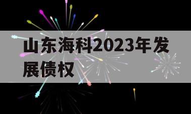 山东海科2023年发展债权