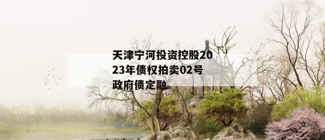 天津宁河投资控股2023年债权拍卖02号政府债定融