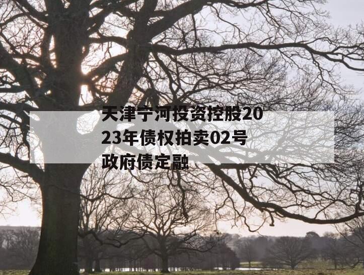 天津宁河投资控股2023年债权拍卖02号政府债定融