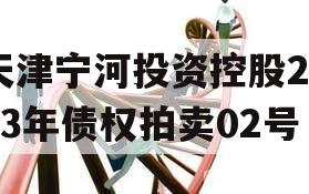 天津宁河投资控股2023年债权拍卖02号