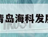 山东青岛海科发展债权