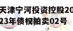 天津宁河投资控股2023年债权拍卖02号