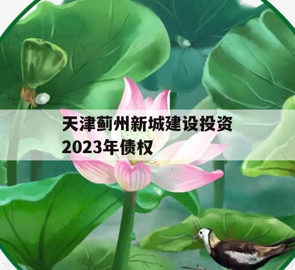 天津蓟州新城建设投资2023年债权