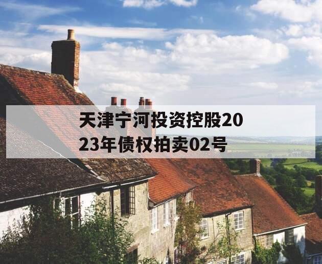 天津宁河投资控股2023年债权拍卖02号