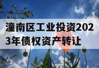 潼南区工业投资2023年债权资产转让