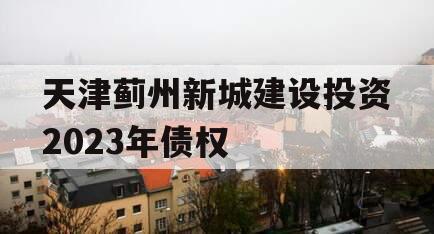 天津蓟州新城建设投资2023年债权