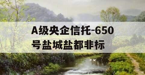 A级央企信托-650号盐城盐都非标