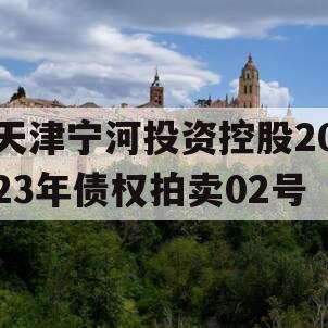 天津宁河投资控股2023年债权拍卖02号