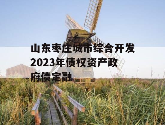 山东枣庄城市综合开发2023年债权资产政府债定融