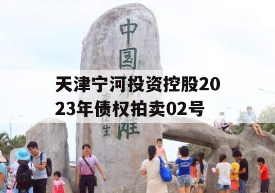 天津宁河投资控股2023年债权拍卖02号