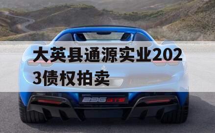 大英县通源实业2023债权拍卖