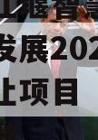 成都都江堰智慧城市运营建设发展2023年债权转让项目【二】政府债定融