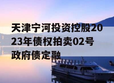 天津宁河投资控股2023年债权拍卖02号政府债定融