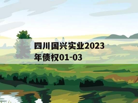 四川国兴实业2023年债权01-03