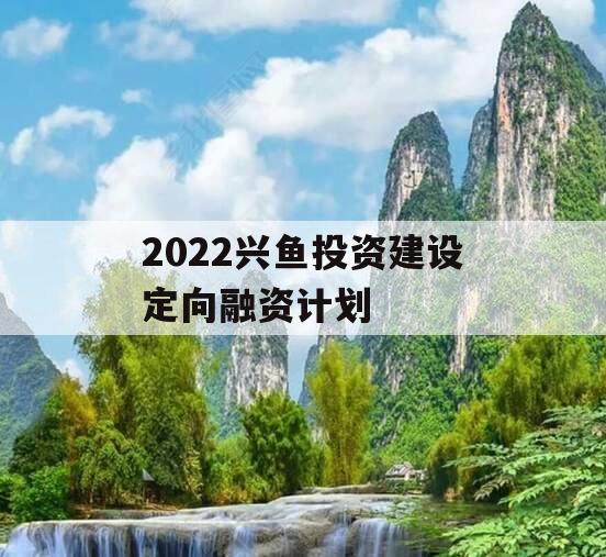 2022兴鱼投资建设定向融资计划