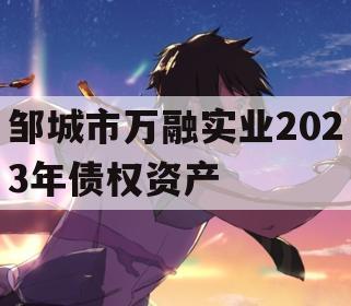 邹城市万融实业2023年债权资产