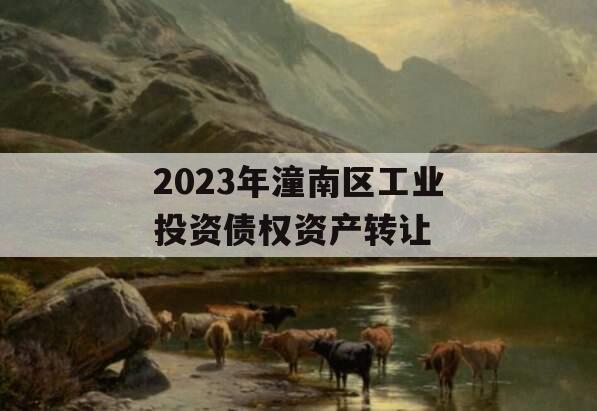 2023年潼南区工业投资债权资产转让