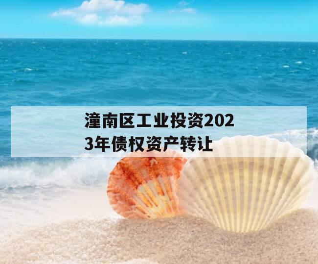 潼南区工业投资2023年债权资产转让