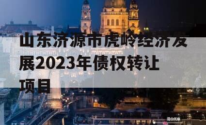 山东济源市虎岭经济发展2023年债权转让项目