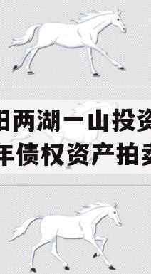 简阳两湖一山投资2023年债权资产拍卖