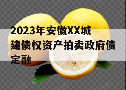 2023年安徽XX城建债权资产拍卖政府债定融