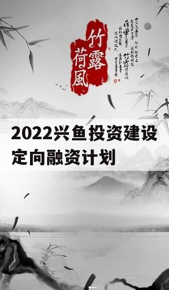 2022兴鱼投资建设定向融资计划