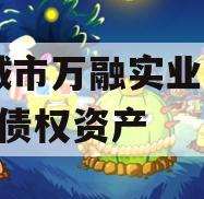 邹城市万融实业2023年债权资产